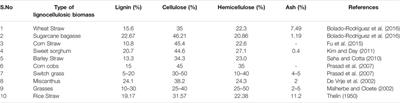 Lignocellulosic Biomass Pretreatment for Enhanced Bioenergy Recovery: Effect of Lignocelluloses Recalcitrance and Enhancement Strategies